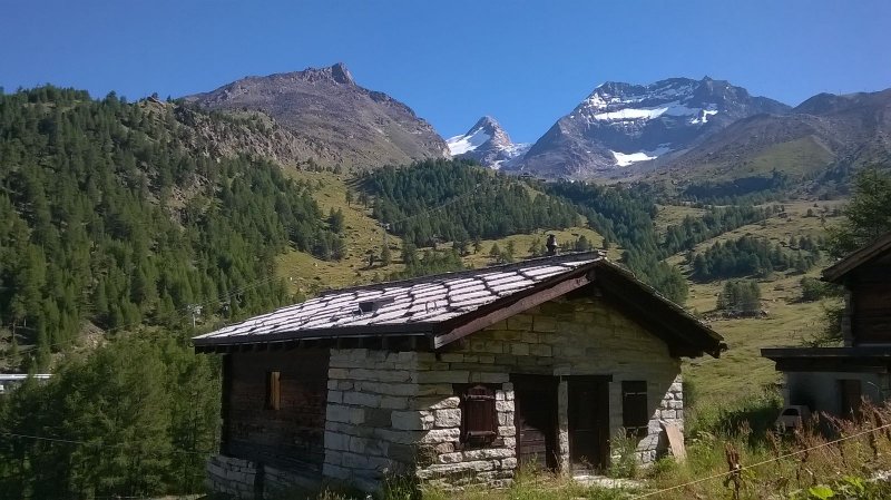 IMG_2382